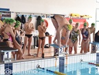 Nuoto Stage Nuotatore Orsi Marco Marco 729