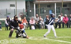 Baseball: Blackhorses Pinerolo