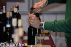 Sapori di vini  sapori di vini  006