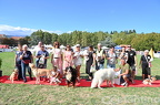 Pinerolo: sfilata canina Mascotte 2025 ( parte3)