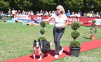 Pinerolo:Sfilata canina Mascotte 2025 (1parte)
